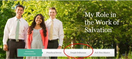 Preparing LDS Youth to Attend the Temple: Personal Study Guides