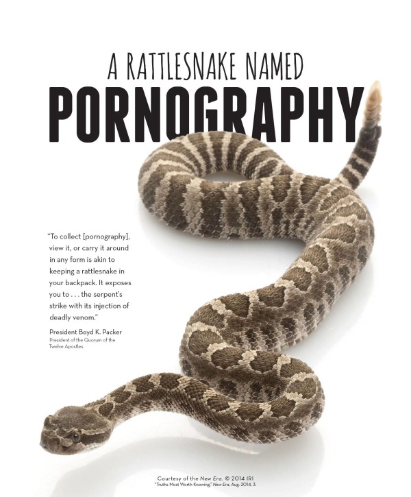 rattlesnake-pornography
