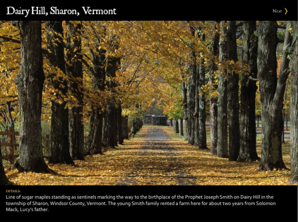 Witness-light-ipad-app-2