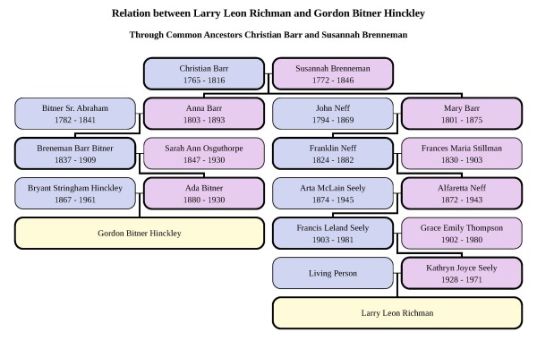 relation-chart-richman