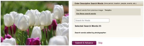 Help Tag Member-Submitted Photos