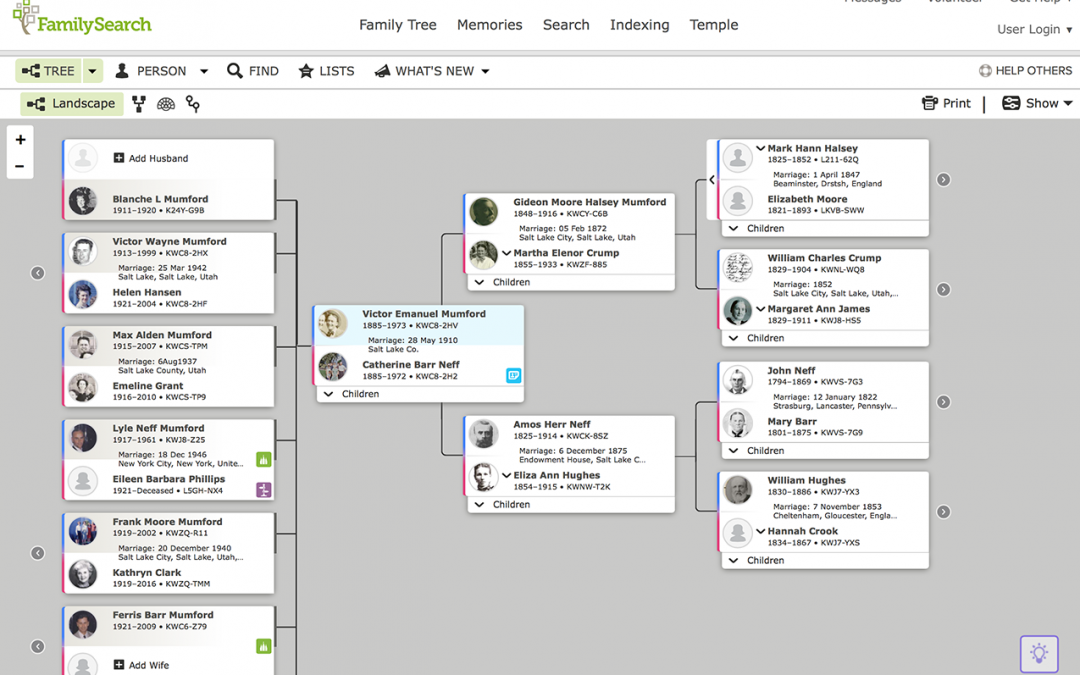 FamilySearch-Tree