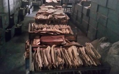 FamilySearch’s Strategy to Help Preserve the World’s Archives