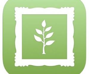 Discover Your Ancestors With Memories Book App
