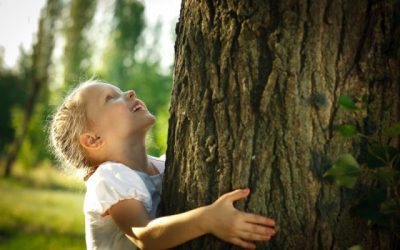 How to Use the FamilySearch Family Tree