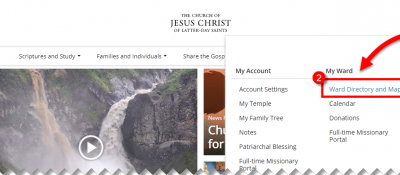 My Ministering Companion and Assignments