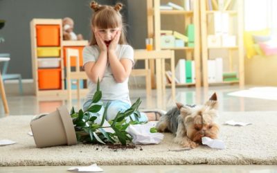 How to Correct Mistakes on the FamilySearch Family Tree