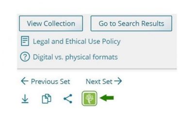 How To Import Sources from Church History Catalog into FamilySearch’s Family Tree