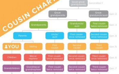 What is a Second Cousin and a Cousin Once Removed?