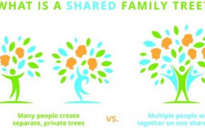 The World’s Largest Shared Family Tree