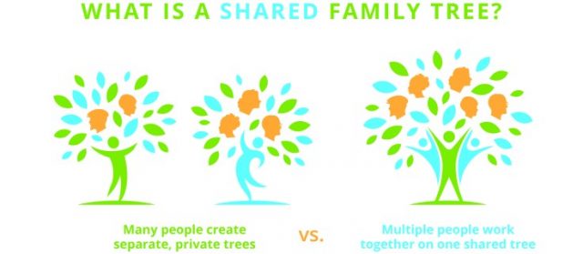 online-shared-family-tree