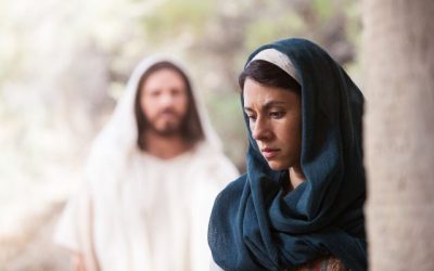 Easter Study Plan in the Gospel Library App