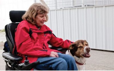 Are Service Animals Allowed at Church?