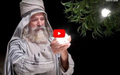 Video: The Fruit that is Most Desirable