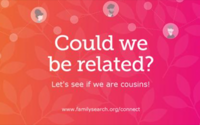 Are You Related to Your Friends?