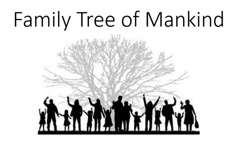 Family Tree of Mankind