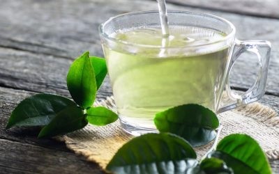 Are Green Tea and Iced Tea Against the Word of Wisdom?