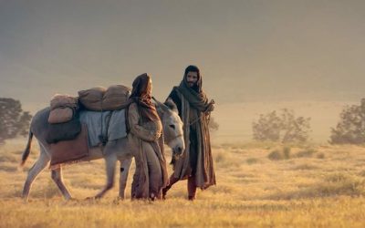 Light the World 2025