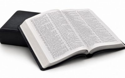 Holy Bible in Swedish Now in the Gospel Library and Online