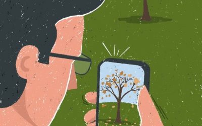 Recognizing Truth in a World of Misinformation