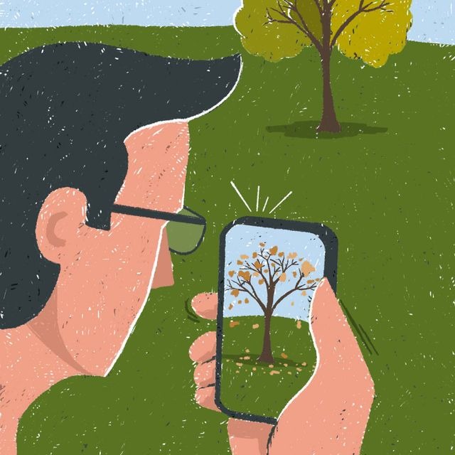 phone